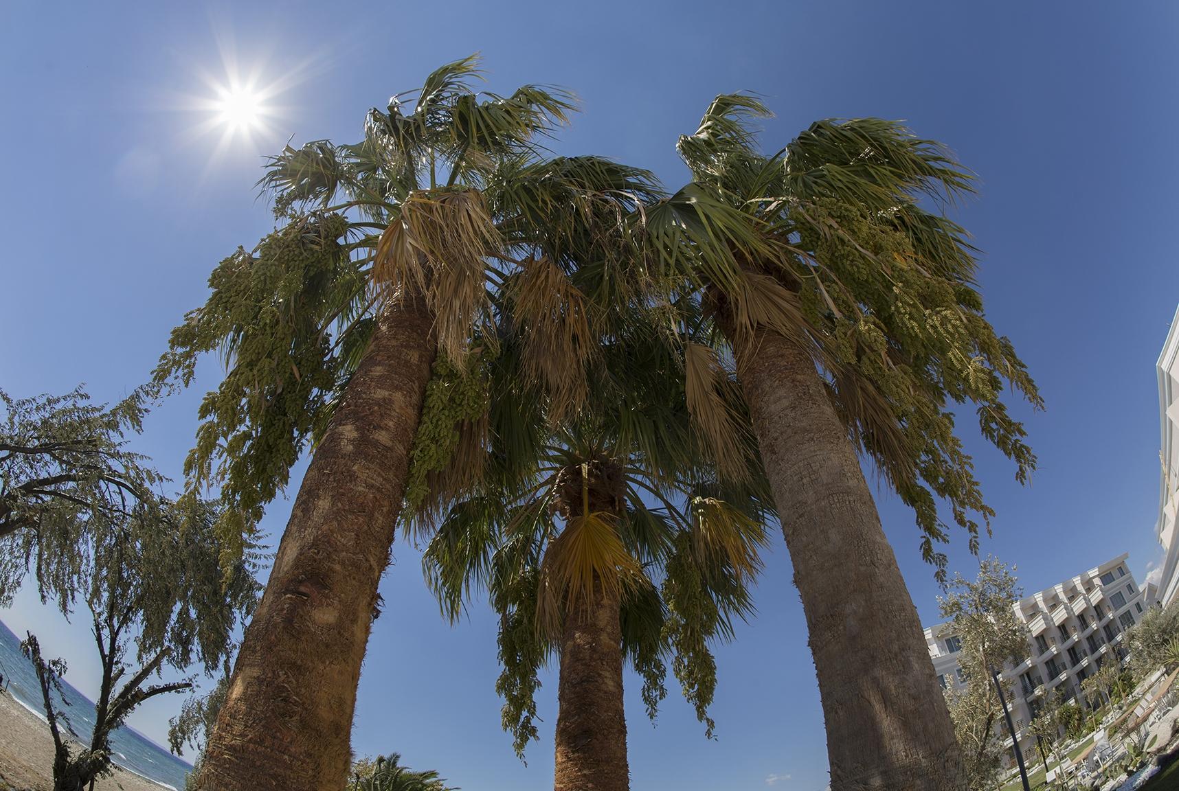 Rawda Resort Hotel Altinoluk Exterior photo